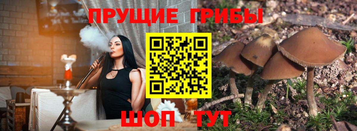 Галлюциногенные грибы Psilocybine cubensis  Вход с VPN  Нефтеюганск  Галлюциногенные грибы Psilocybine cubensis 