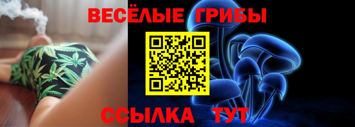 Псилоцибиновые грибы прущие грибы Нефтеюганск